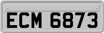 ECM6873