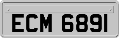 ECM6891