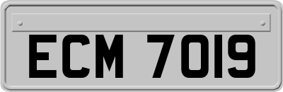 ECM7019