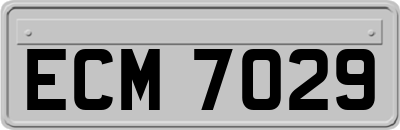 ECM7029