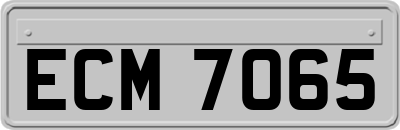 ECM7065