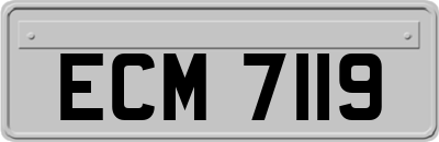 ECM7119