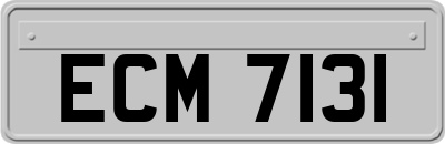 ECM7131