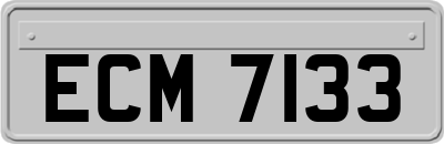 ECM7133