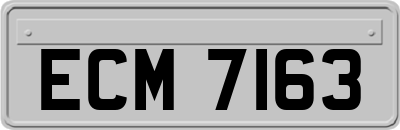ECM7163