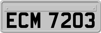 ECM7203