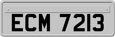 ECM7213
