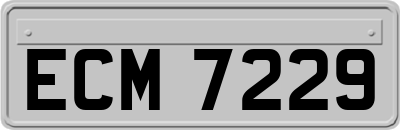 ECM7229