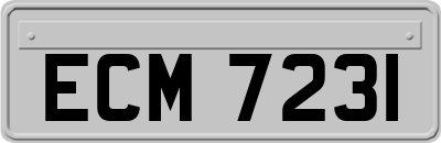 ECM7231