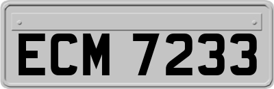 ECM7233