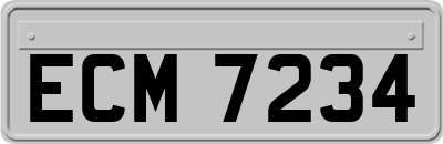 ECM7234