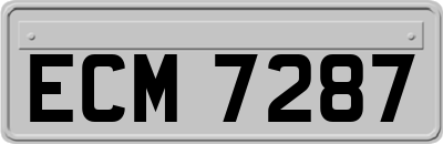 ECM7287