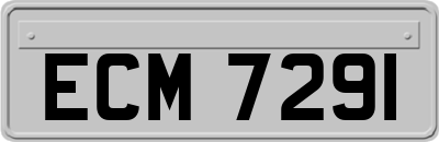 ECM7291