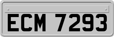 ECM7293