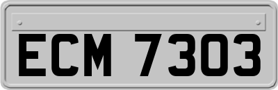 ECM7303