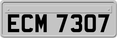 ECM7307