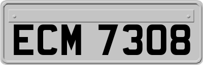 ECM7308