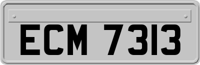 ECM7313