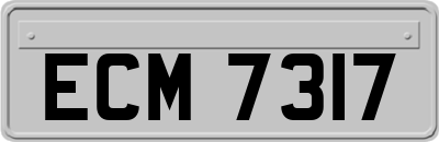 ECM7317