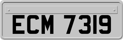 ECM7319