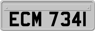 ECM7341