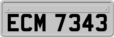 ECM7343