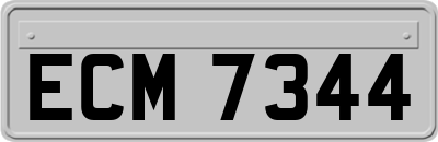 ECM7344