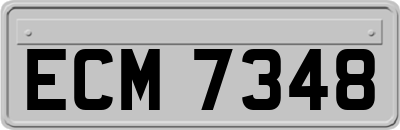 ECM7348