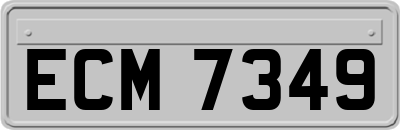 ECM7349
