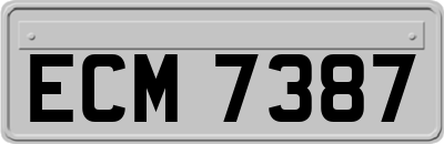 ECM7387