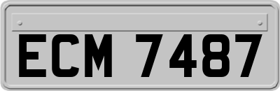 ECM7487