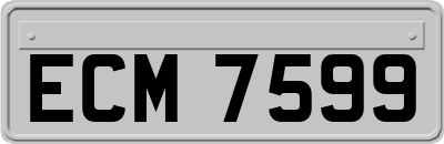 ECM7599