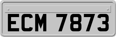 ECM7873