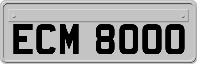 ECM8000