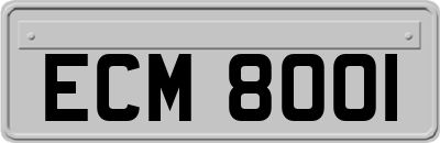 ECM8001