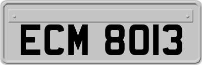ECM8013