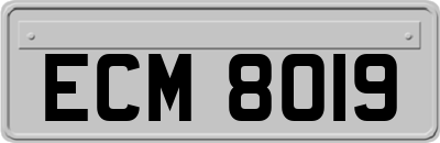 ECM8019