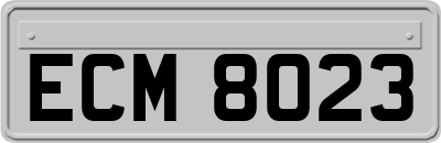 ECM8023