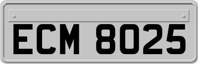 ECM8025