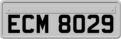 ECM8029