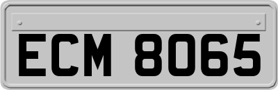ECM8065