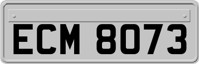 ECM8073
