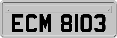 ECM8103