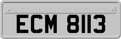 ECM8113