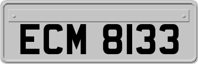ECM8133