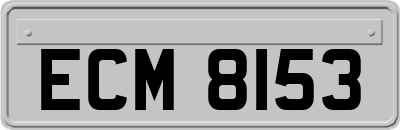 ECM8153