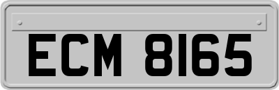 ECM8165