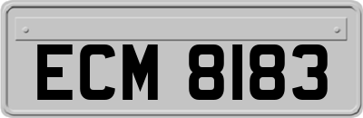 ECM8183