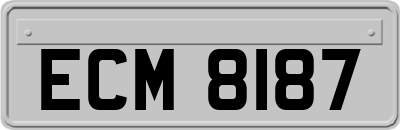 ECM8187