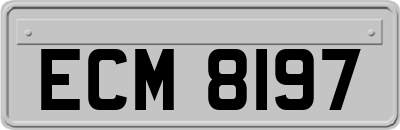 ECM8197